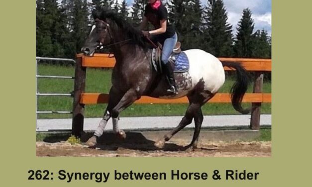 262: Synergy between Horse & Rider, The Language Equus, by HandsOnGloves