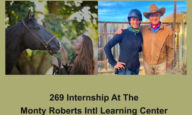 269 Internship at the Monty Roberts Intl Learning Center, by HandsOnGloves