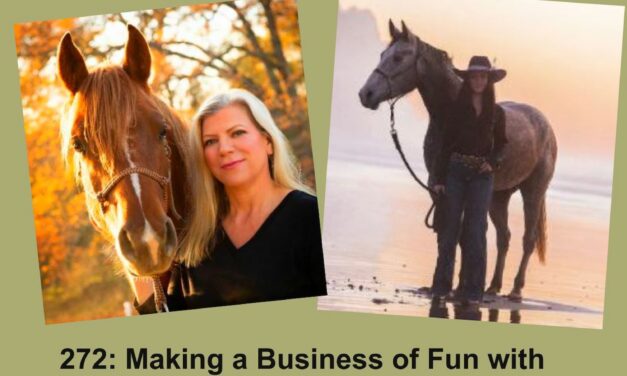 272: Making a Business of Fun with Horses, by HandsOnGloves