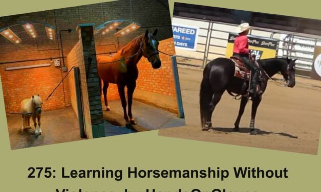 275: Learning Horsemanship Without Violence, by HandsOnGloves